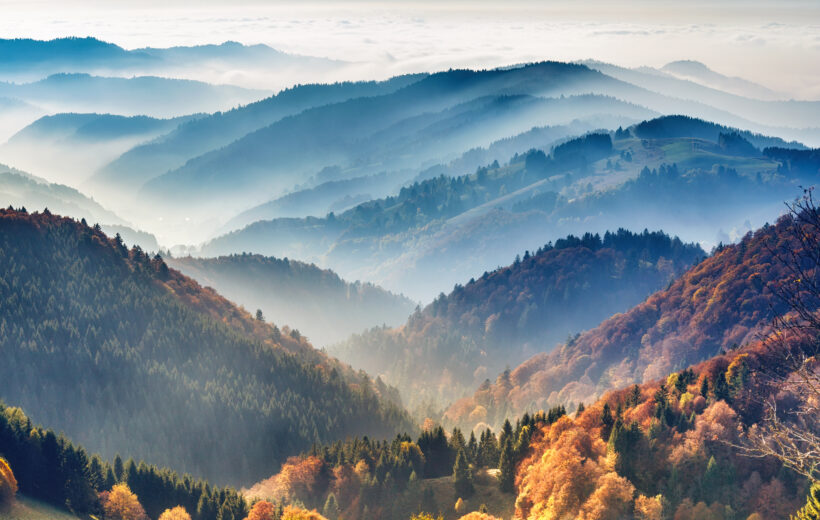 Foresta Negra y Sur Alemania